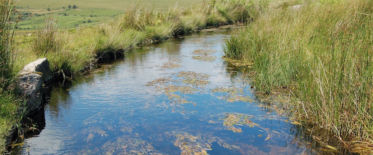 A flowing leat on southern Dartmoor, beneath Little Trowlesworthy Tor. It runs from the River Plym to the Lee Moor china clay works.