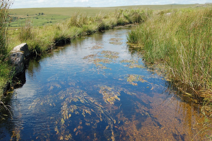 A flowing leat on southern Dartmoor, beneath Little Trowlesworthy Tor. It runs from the River Plym to the Lee Moor china clay works.