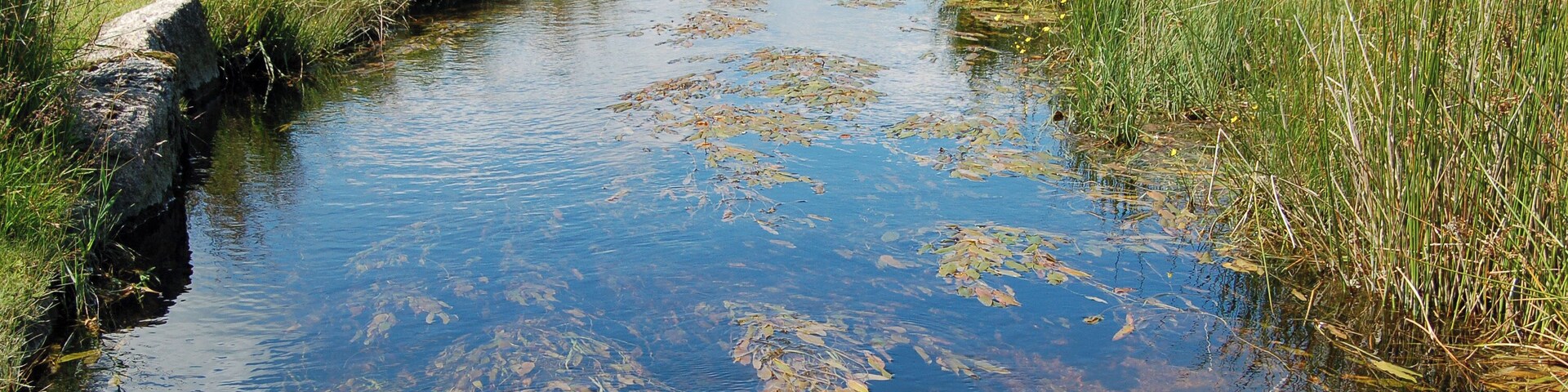 A flowing leat on southern Dartmoor, beneath Little Trowlesworthy Tor. It runs from the River Plym to the Lee Moor china clay works.