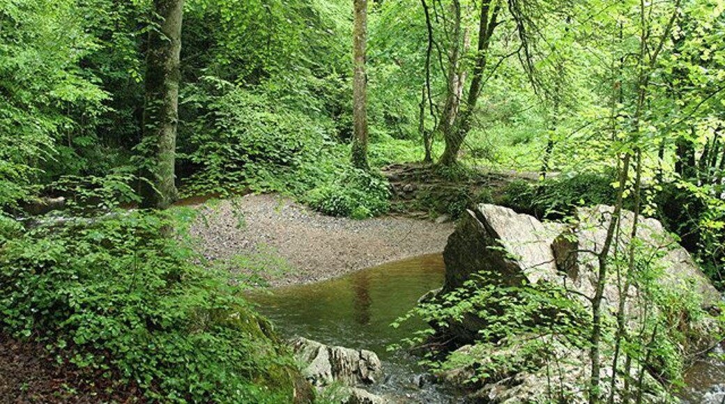 Yealmpton: Pimple Rock Just upstream from a footbridge over the river Yealm, looking east-north-east