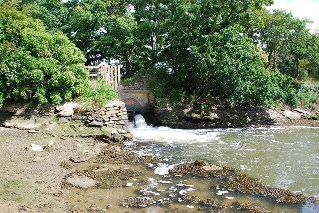 Sluice gate This is the water outfall from the Fishpond just over the hedge,above this point is not tidal.