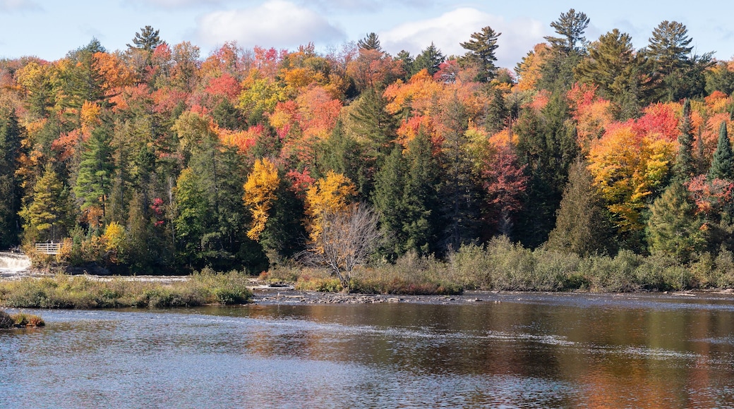 Tahquamenon falls during brilliant autumn colors