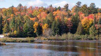 Tahquamenon falls during brilliant autumn colors