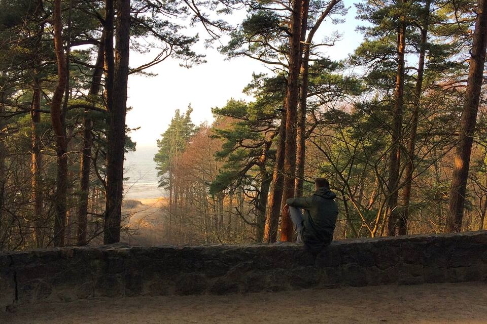 A person sitting on a stone wall overlooking a forest of tall pine trees.