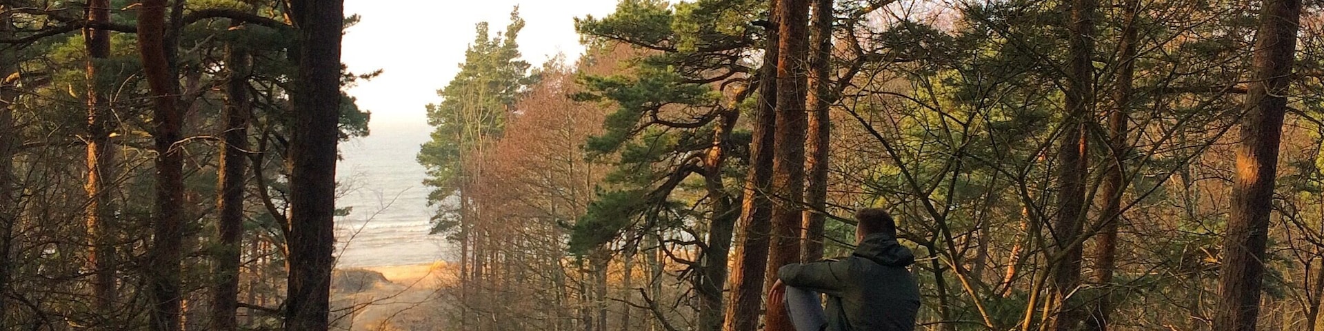 Happy Birthday, Lithuania. 16 February - Restoration of the state of Lithuania.