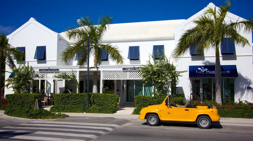 Providenciales showing street scenes
