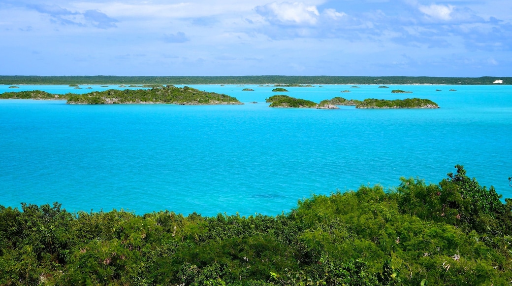 Providenciales which includes landscape views, tropical scenes and island views