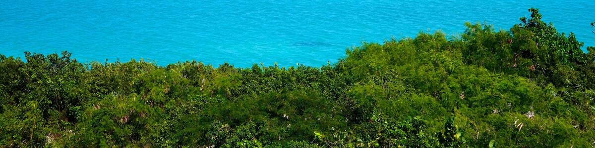 Providenciales featuring landscape views, general coastal views and island images