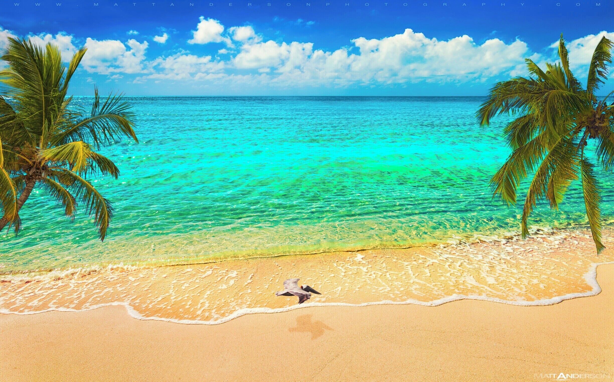 A lovely beach, on a lovely bay, located on a lovely island, far far away. 
Taylor Bay Beach Turks and Caicos.