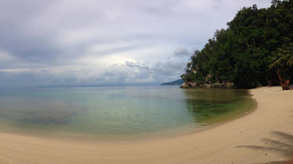 A beach with clear water, surrounded by dense forest and a cloudy sky.