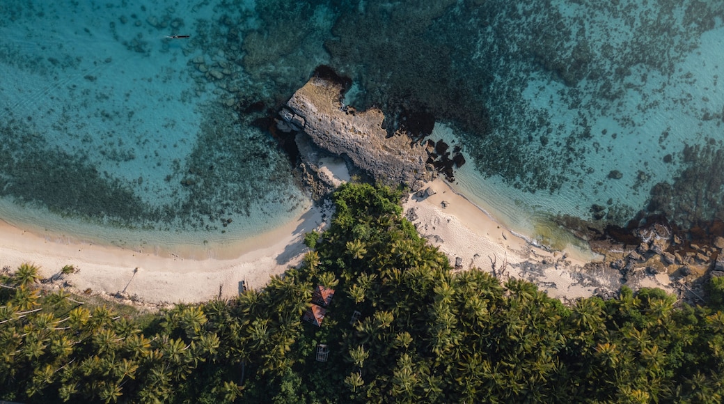 A tropical beach with clear turquoise waters, a rocky outcrop, and dense palm trees.