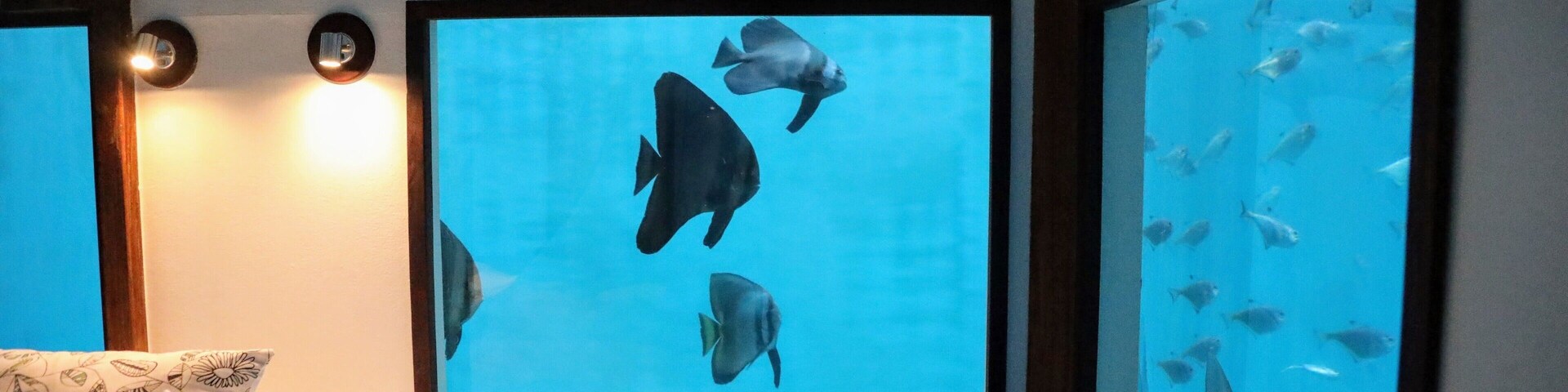 This is the bedroom in the Underwater room at the Manta resort on Pemba island ,Tanzania. A night here was beautiful, amazing, mind boggling and utterly exhausting as you just dont sleep you are too enthralled with watching the fish swim around or running upstairs to watch the incredible night sky. Luckily the rest of the resort is a calm beautiful oasis where on your next day you can just relax and enjoy. I blogged about the experience here http://circlingthebucketlist.com/index.php/2017/12/18/my-stay-at-the-manta-resort-and-the-underwater-room/