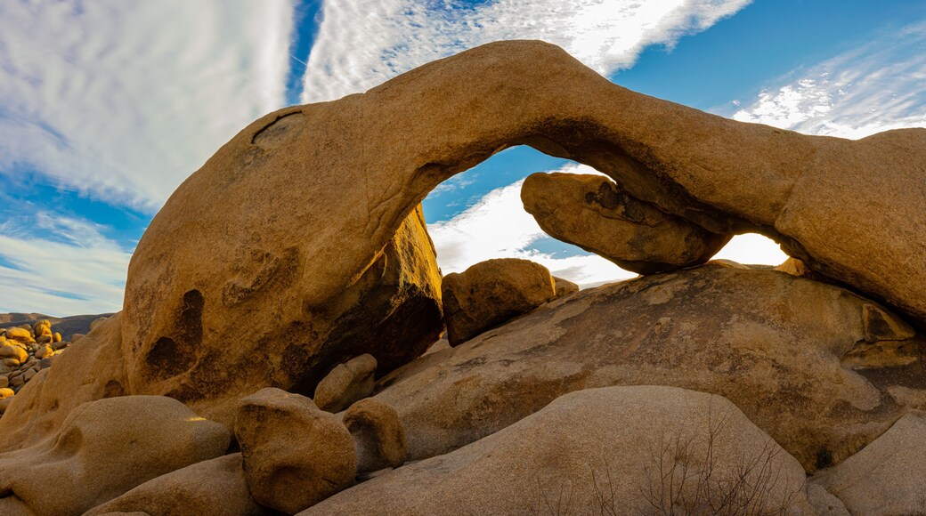 Panoramic View of Arch Rock at White Tank in Joshua Tree National Park, California, USA