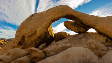Panoramic View of Arch Rock at White Tank in Joshua Tree National Park, California, USA