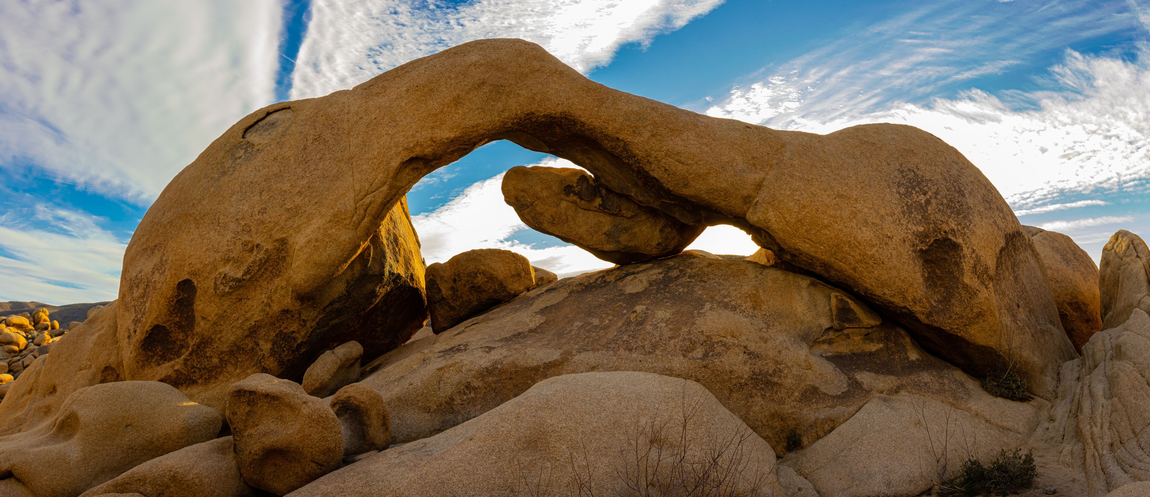 Panoramic View of Arch Rock at White Tank in Joshua Tree National Park, California, USA
