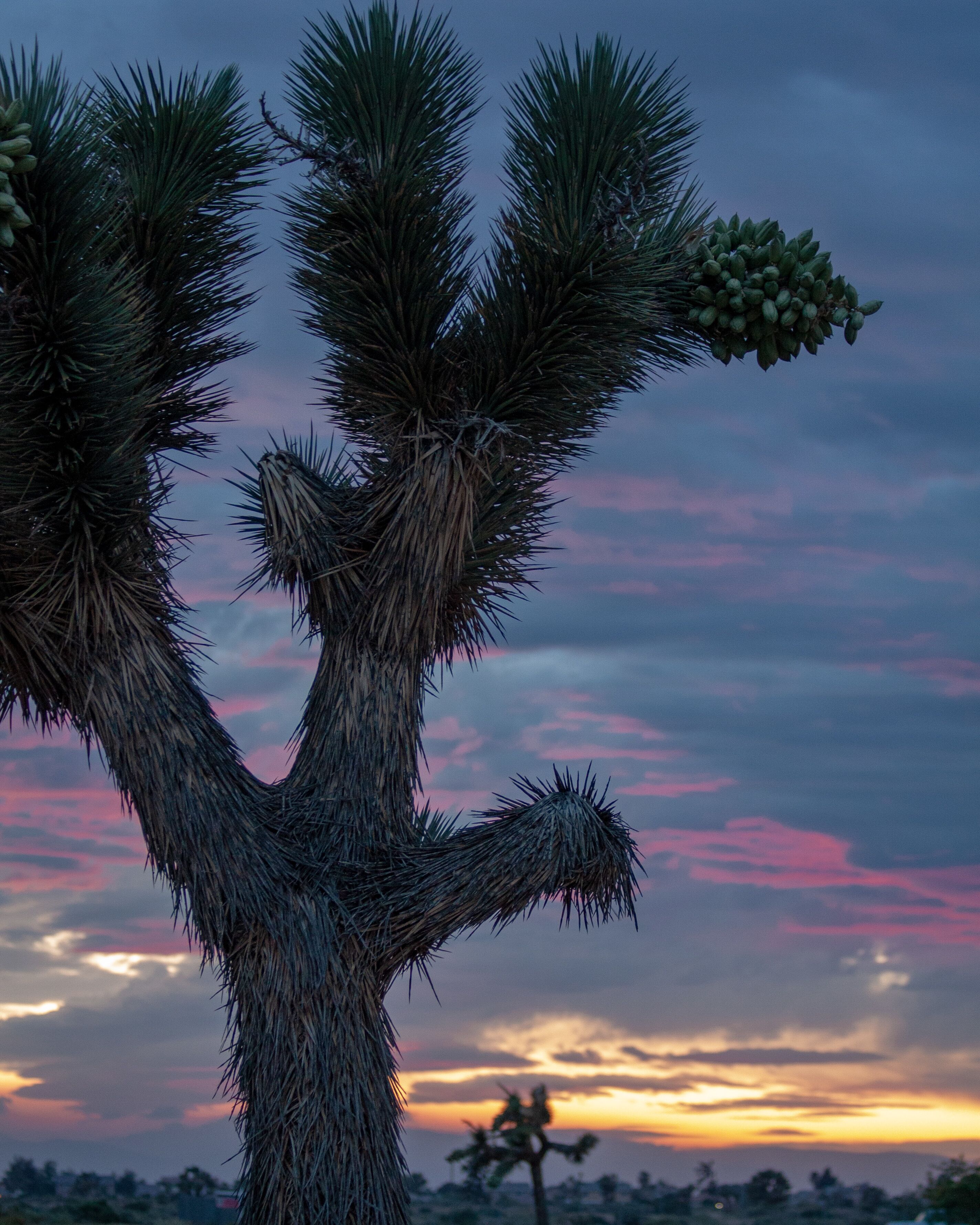 Storm is developing over the Mojave Desert.