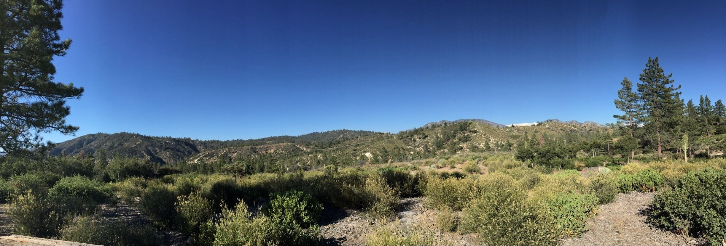 Angeles National Forest. July 5, 2015.