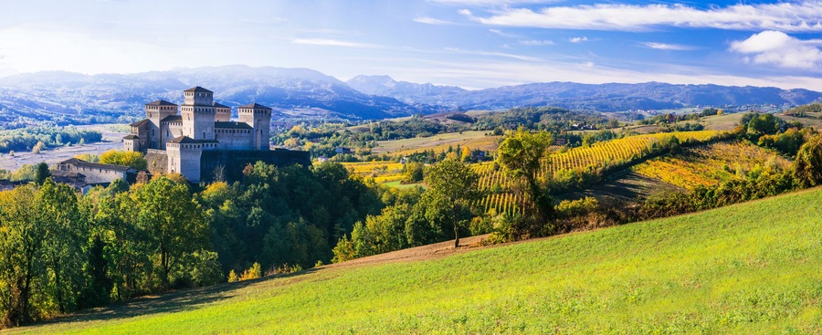 Un castillo rodeado de colinas ondulantes y viñedos.