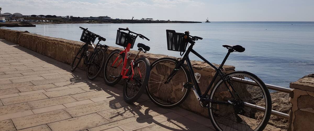 Best way to get around Palma