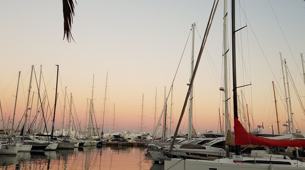 Sunset over Palma bay. Mallorca