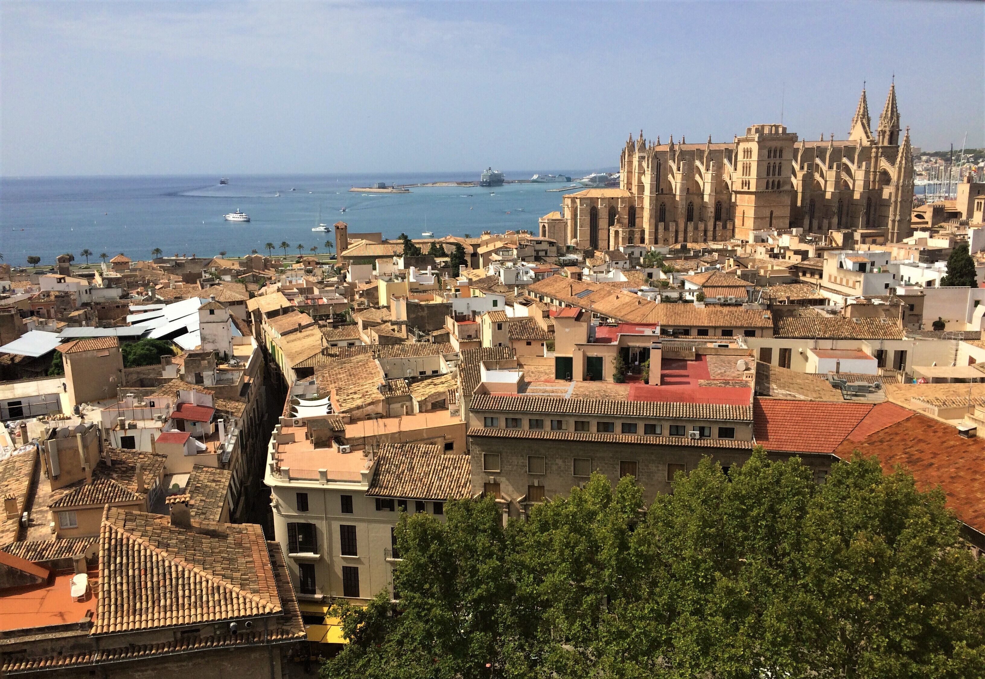 View from the Parròquia de Santa Eulàlia looking out over the old town of Palma, Mallorca. The Cathedral de Santa María is the beautiful gothic building in the distance.