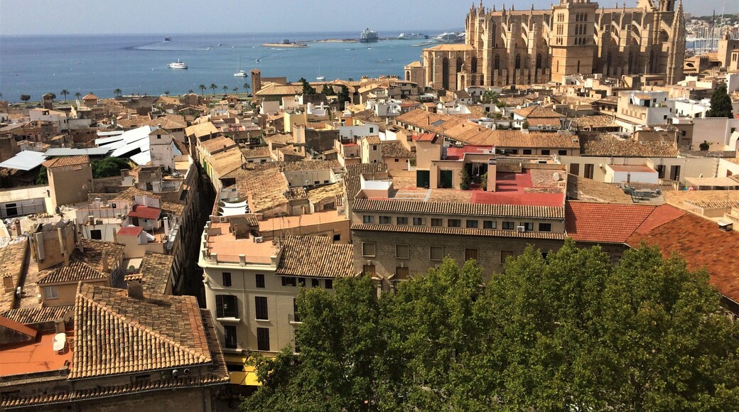 View from the Parròquia de Santa Eulàlia looking out over the old town of Palma, Mallorca. The Cathedral de Santa María is the beautiful gothic building in the distance.