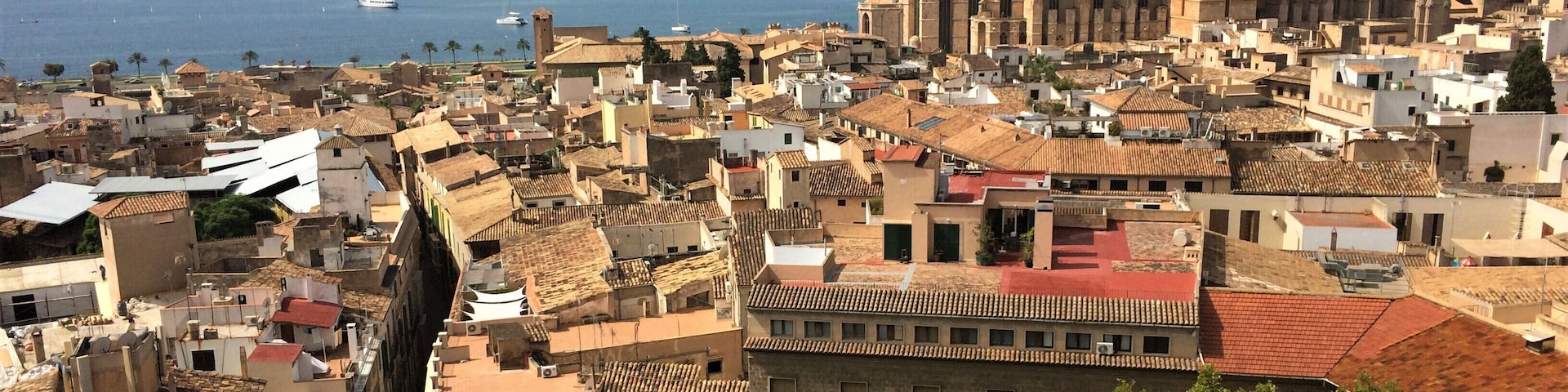 View from the Parròquia de Santa Eulàlia looking out over the old town of Palma, Mallorca. The Cathedral de Santa María is the beautiful gothic building in the distance.