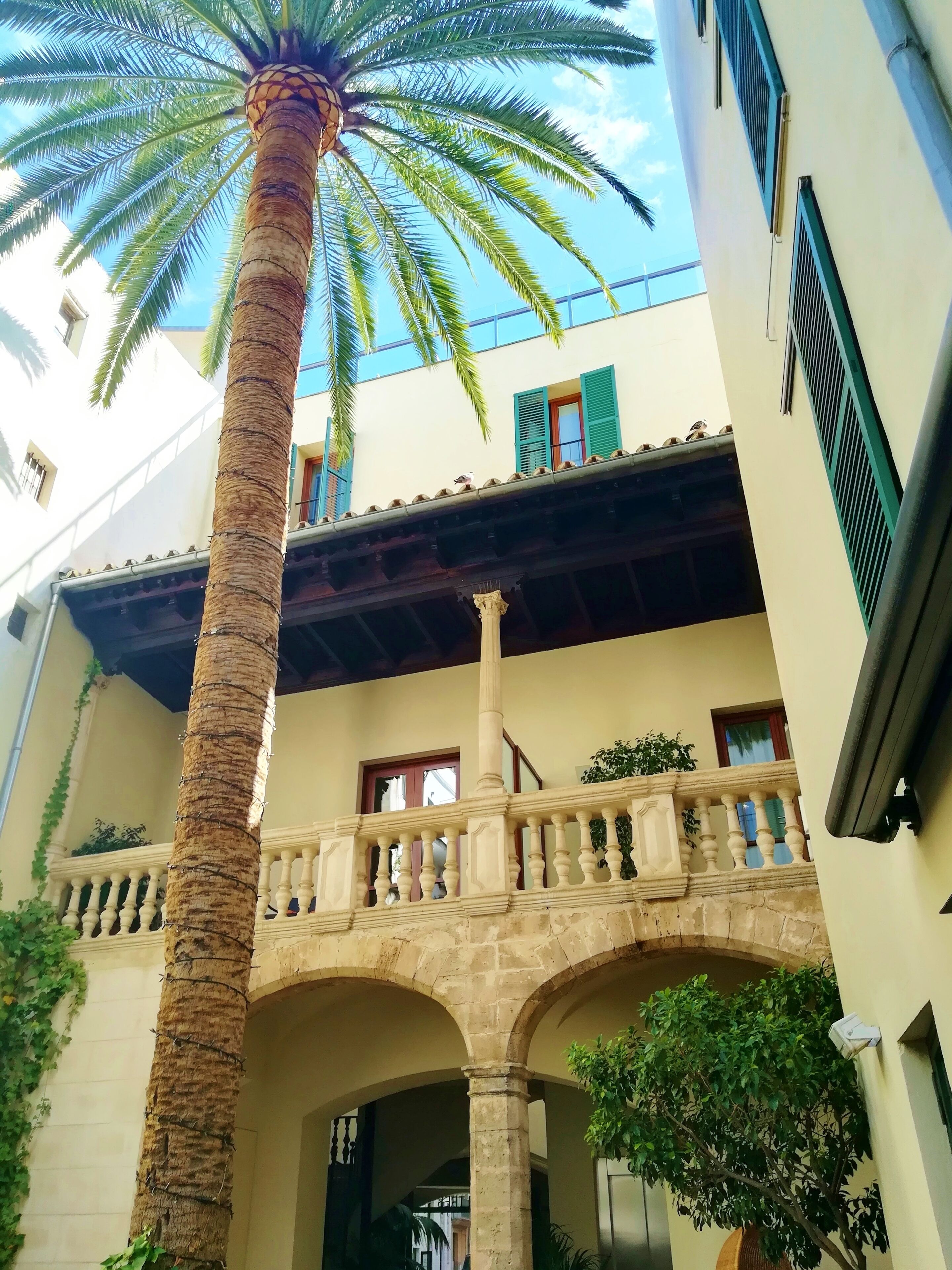 Petit Palace Hotel Tres. I can recommend this hotel and the surroundings of La Lonja, it´s middle of all best places. They have only 41 rooms in 16th century palace. Petit Palace Hotel Tres. View from rooftop terrace to Cathedral “La Seu”. They have only 41 rooms in 16th century palace. #Mallorca

Plaça de la Drassana, 12, 07012 Palma

https://www.hoteltres.com/en/

https://www.lonelyplanet.com/spain/palma-de-mallorca/hotels/petit-palace-hotel-tres/a/lod/2fa2eef5-7875-4454-8bff-f002187cefc0/1004365


Plaça de la Drassana, 12, 07012 Palma

https://www.hoteltres.com/en/

https://www.lonelyplanet.com/spain/palma-de-mallorca/hotels/petit-palace-hotel-tres/a/lod/2fa2eef5-7875-4454-8bff-f002187cefc0/1004365
