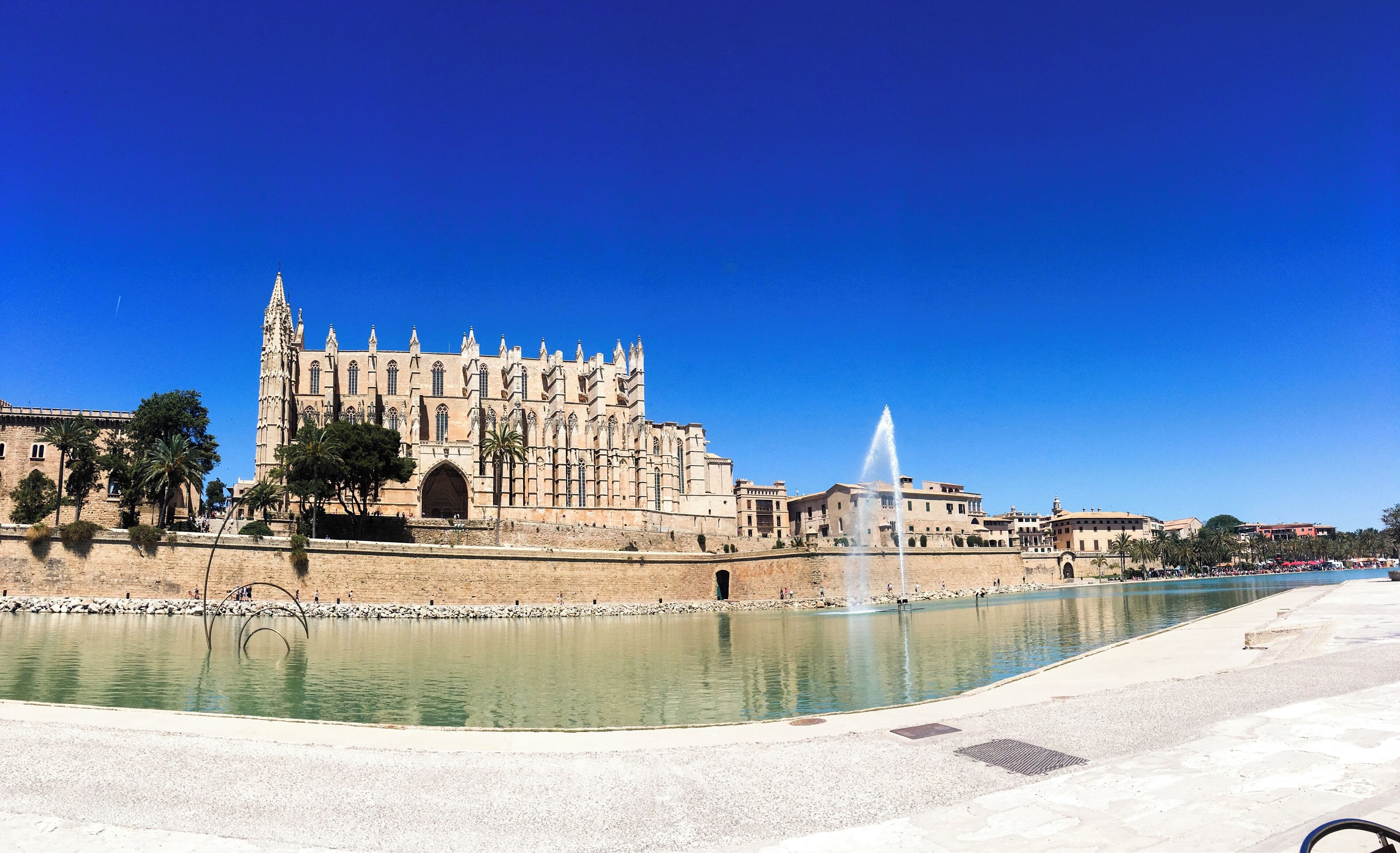 Palma cathedral