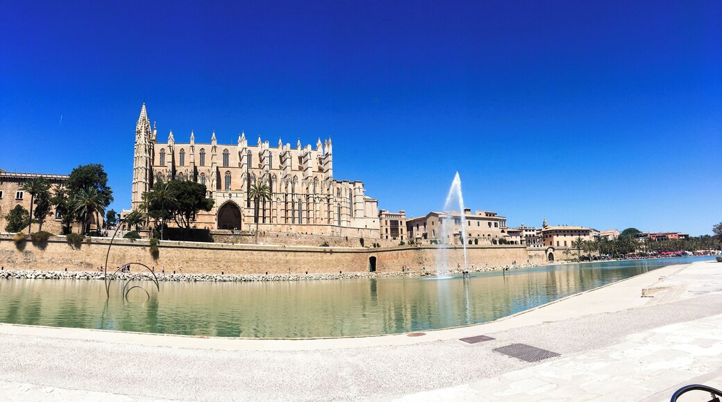 Palma cathedral