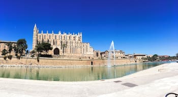 Palma cathedral