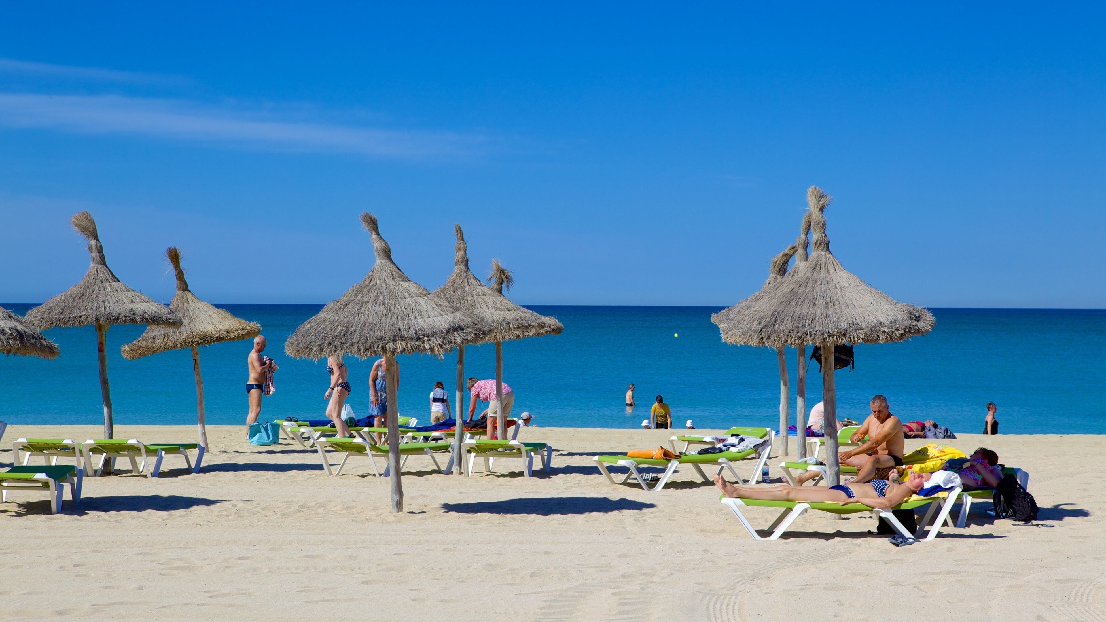 Palma de Mallorca showing a sandy beach as well as a large group of people