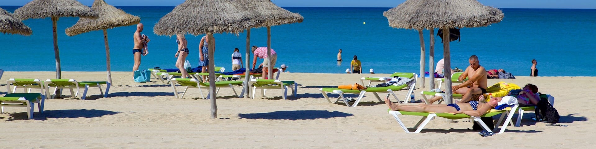 Palma de Mallorca Hotel Guide