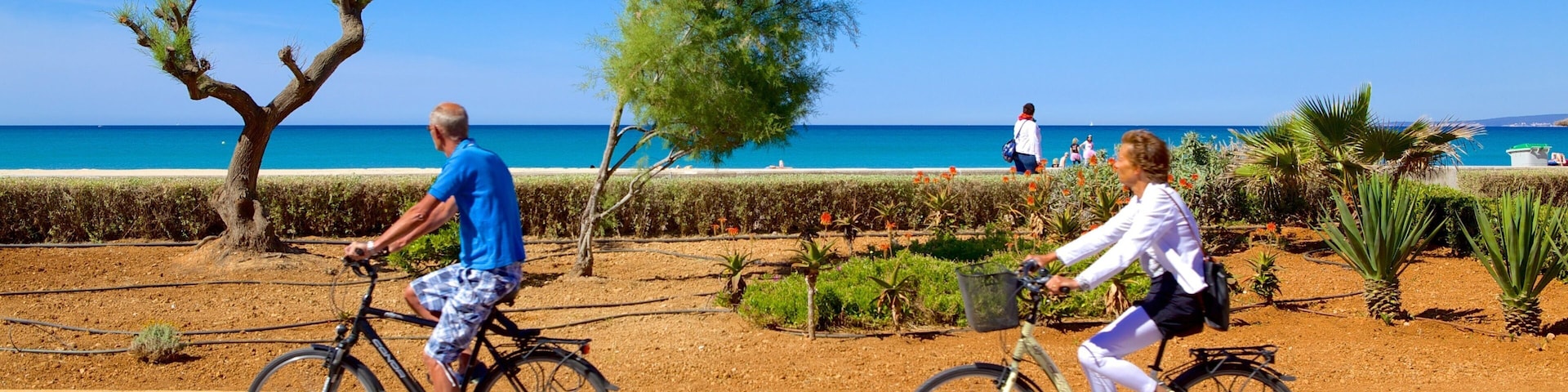 Palma de Mallorca que inclui ciclismo assim como um casal