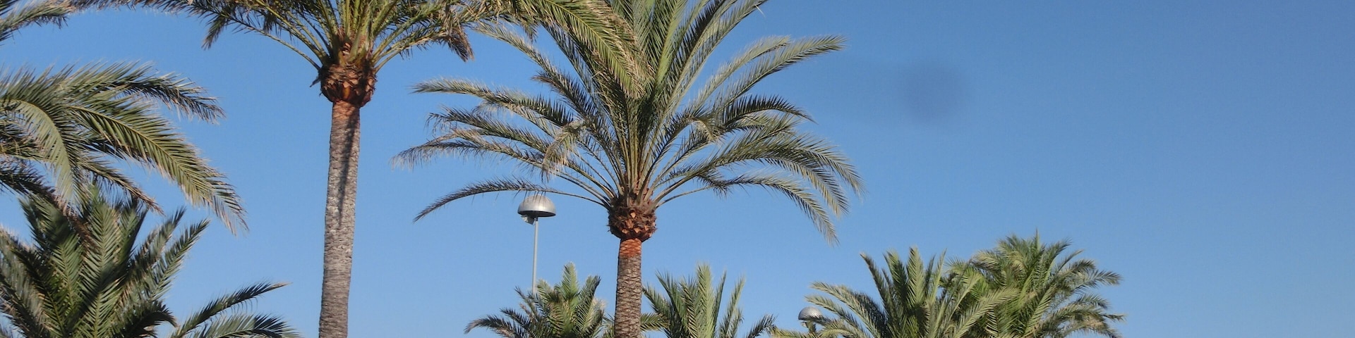 Les Meravelles, Palma, Illes Balears, Spain