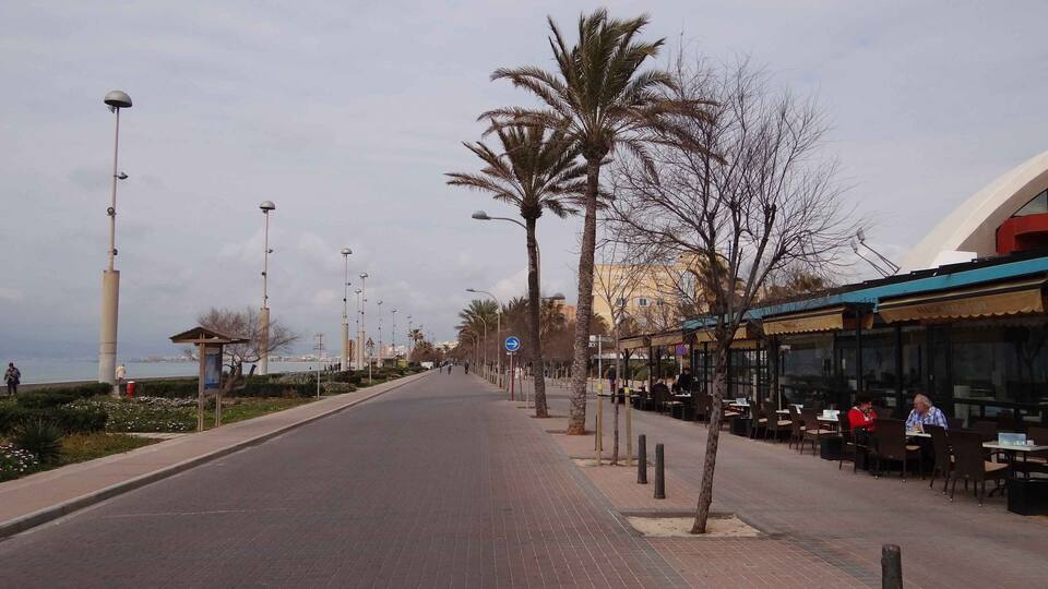A paved walkway lined with palm trees and street lamps, leading to a waterfront with buildings in the background.