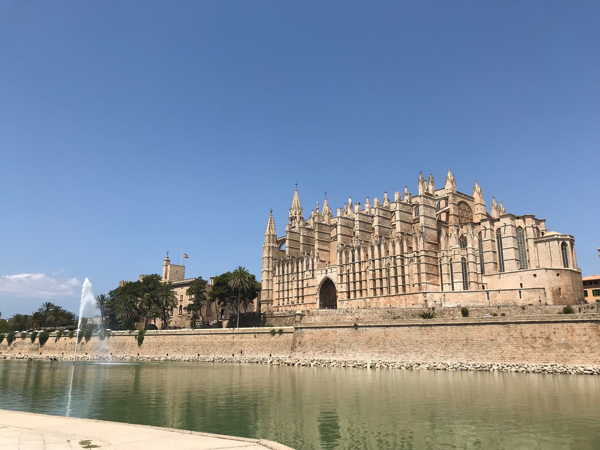 Beautiful sight on a beautiful day 😍