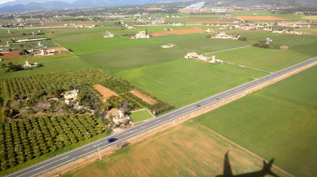 Sant Jordi, 07199 Palma, Illes Balears, Spain