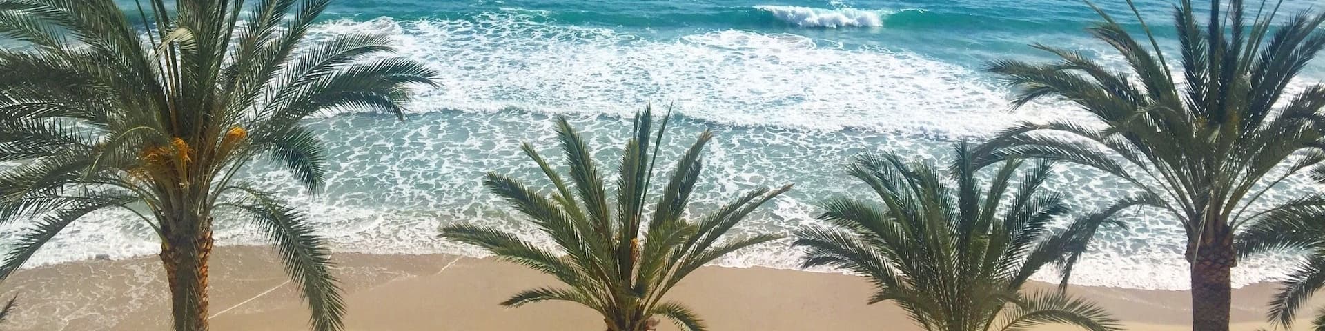 Private beach at Hotel Nixe Palace Mallorca. Palm tree family contemplating the sea.