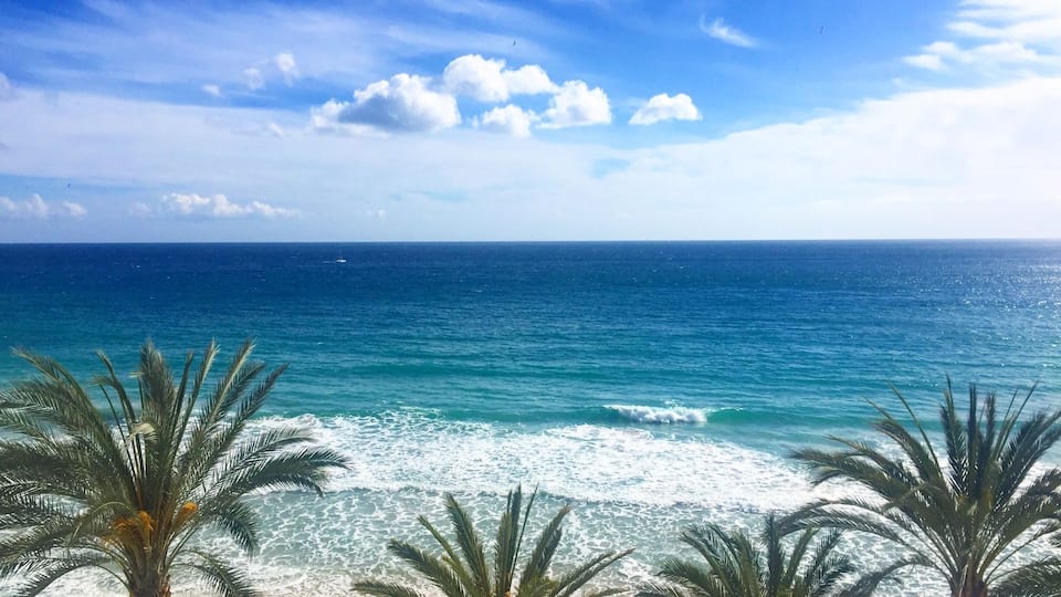 Private beach at Hotel Nixe Palace Mallorca. Palm tree family contemplating the sea.