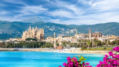 Palma de Mallorca