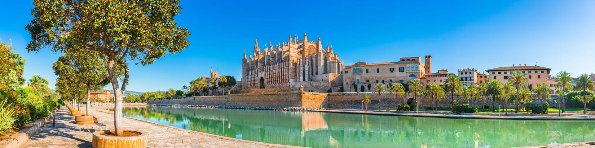 A historic cathedral with Gothic architecture, a calm river, and a paved walkway lined with trees.