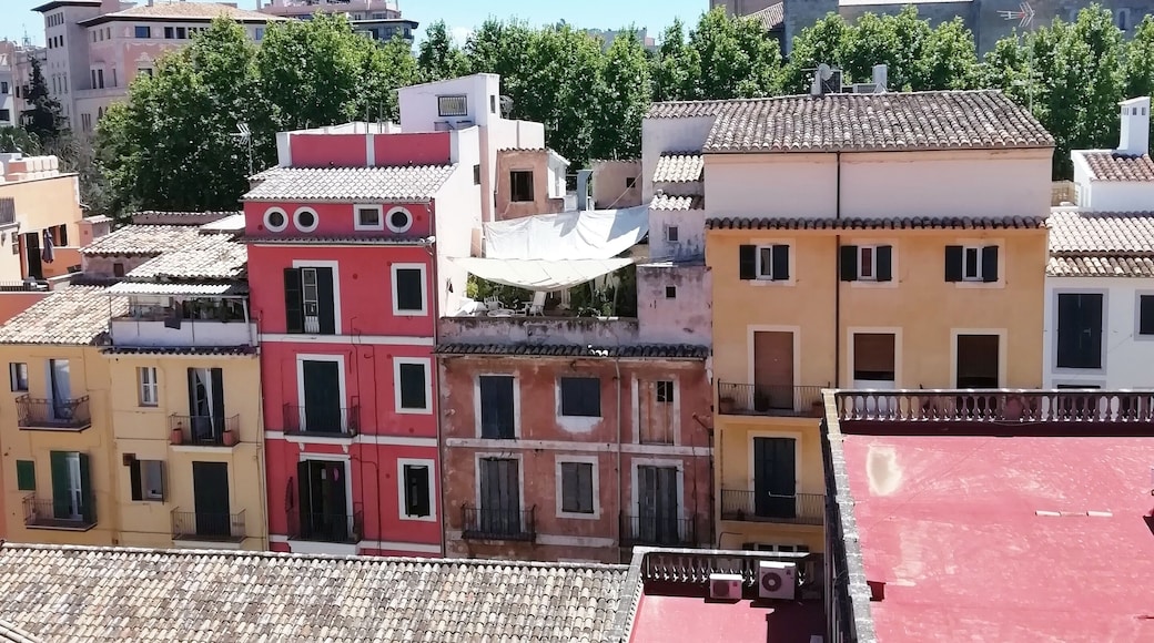 Petit Palace Hotel Tres. View from rooftop terrace to Cathedral “La Seu”. They have only 41 rooms in 16th century palace. #Mallorca
Plaça de la Drassana, 12, 07012 Palma
https://www.hoteltres.com/en/
https://www.lonelyplanet.com/spain/palma-de-mallorca/hotels/petit-palace-hotel-tres/a/lod/2fa2eef5-7875-4454-8bff-f002187cefc0/1004365
