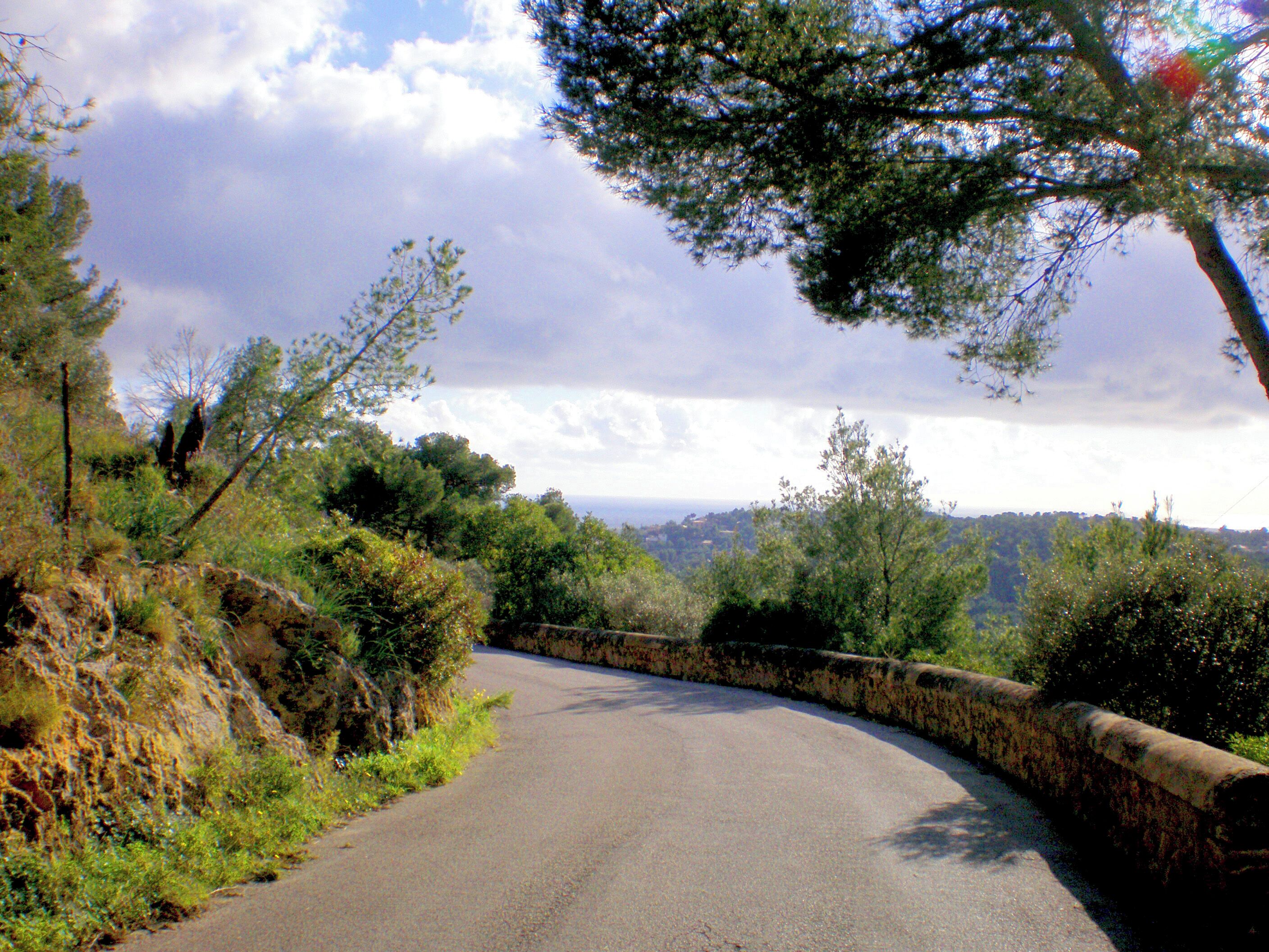 A winding road flanked by stone walls and dense greenery, leading towards a distant landscape.