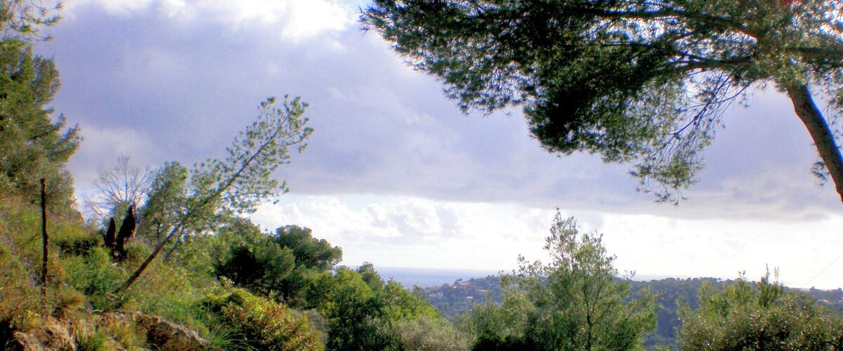 A winding road flanked by stone walls and dense greenery, leading towards a distant landscape.