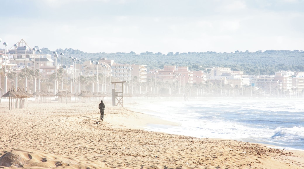 Hay momentos en los que buscas un poco de paz, de calma, para ordenar las ideas...