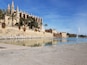 Cathedral and fountain in Palma