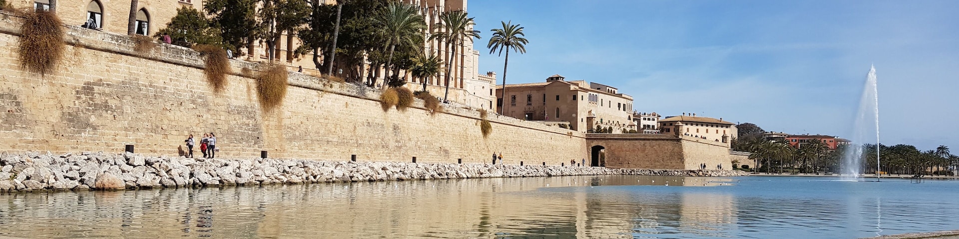 Cathedral and fountain in Palma