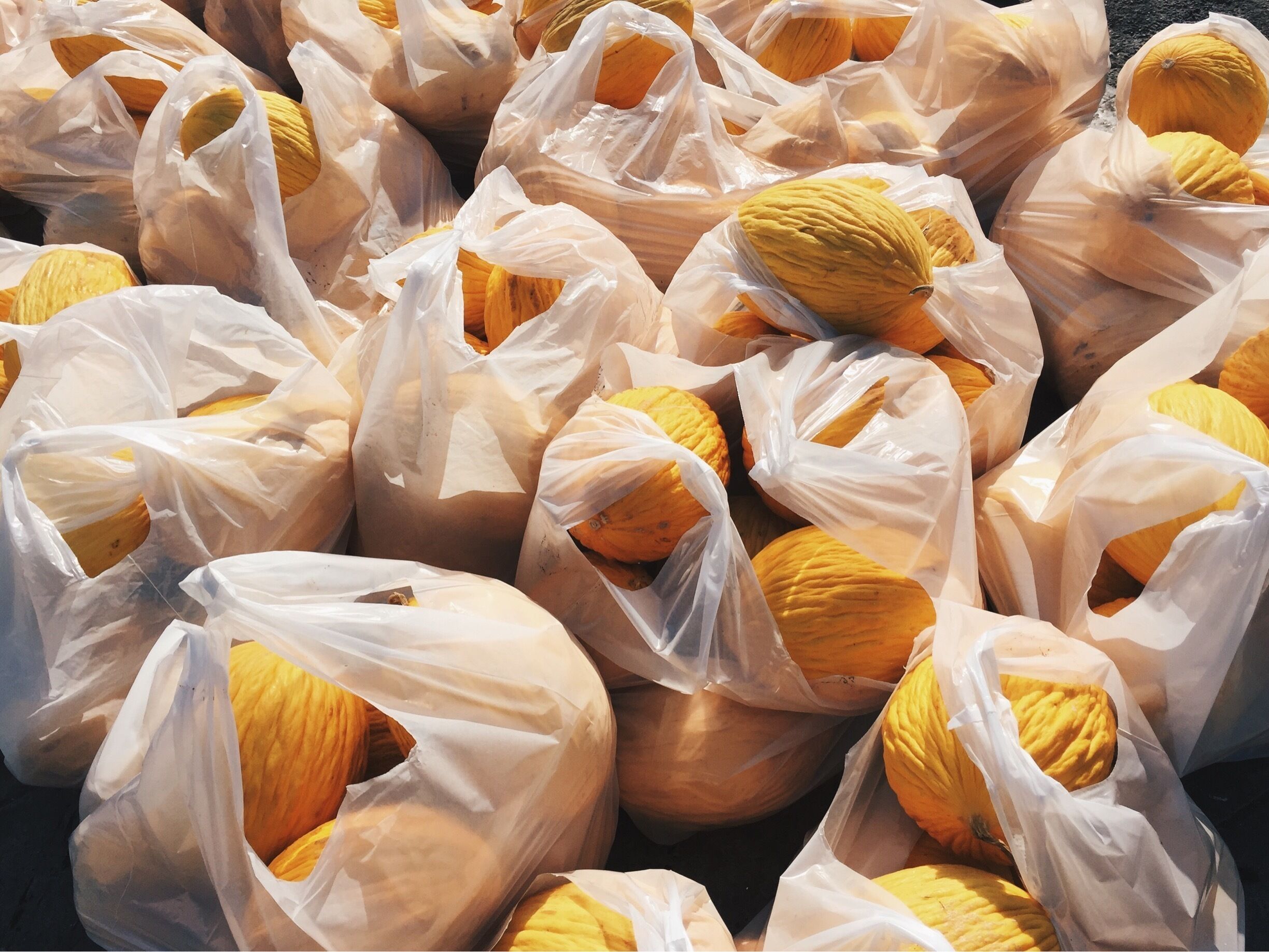 Canary melon to beat the heat #LifeAtExpedia