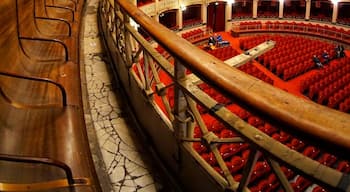 Another image from the tour of Politeama Garibaldi theater.
Taken on a Sony a6000 with a 7artisans fisheye lens.